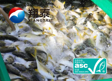 全球首家！海南翔泰漁業(yè)榮獲全球首張ASC金鯧魚網(wǎng)箱養(yǎng)殖認證證書